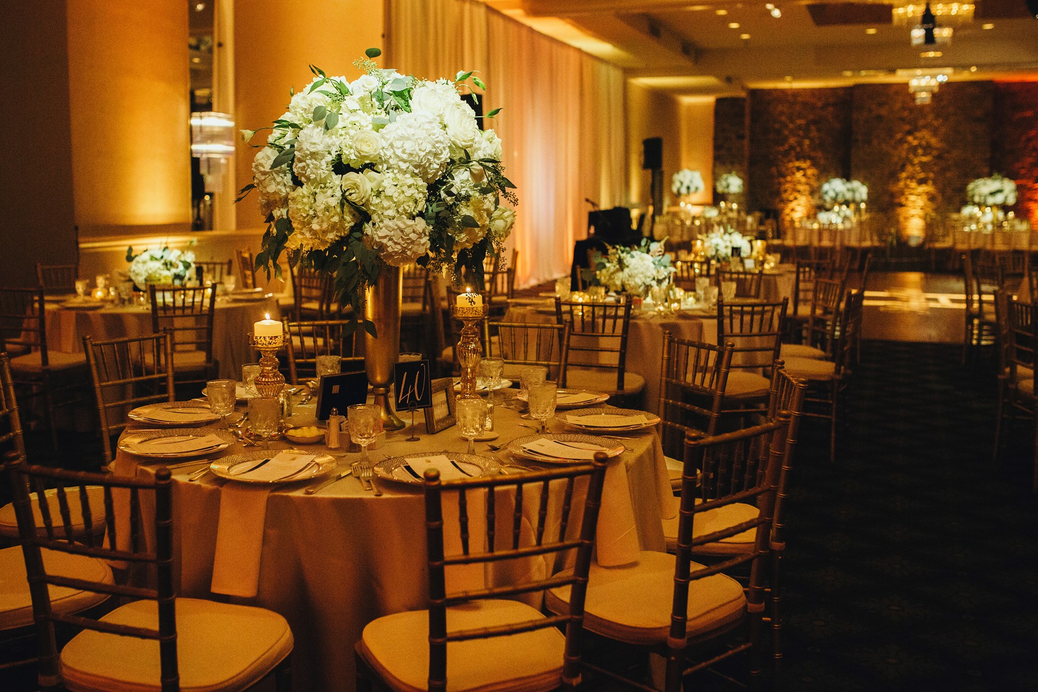 13698062_1106463179426529_952141688524660011_o