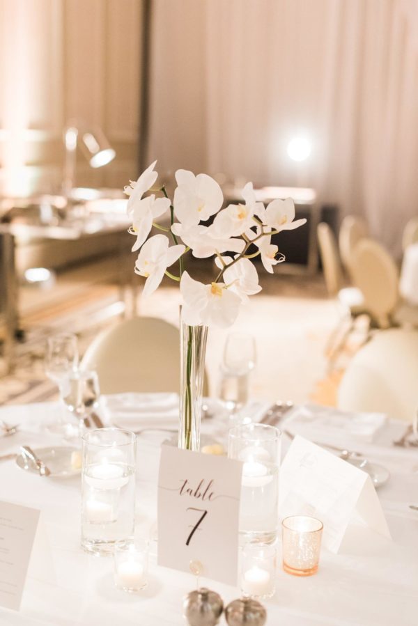 49836914_2421896794549821_8792757765354291200_o