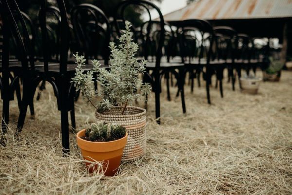 61194426_2730810310325133_3110167294286757888_o