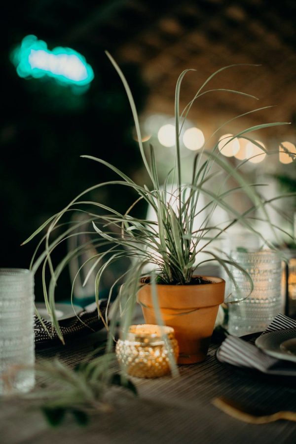 61264174_2730809760325188_8175706015870746624_o