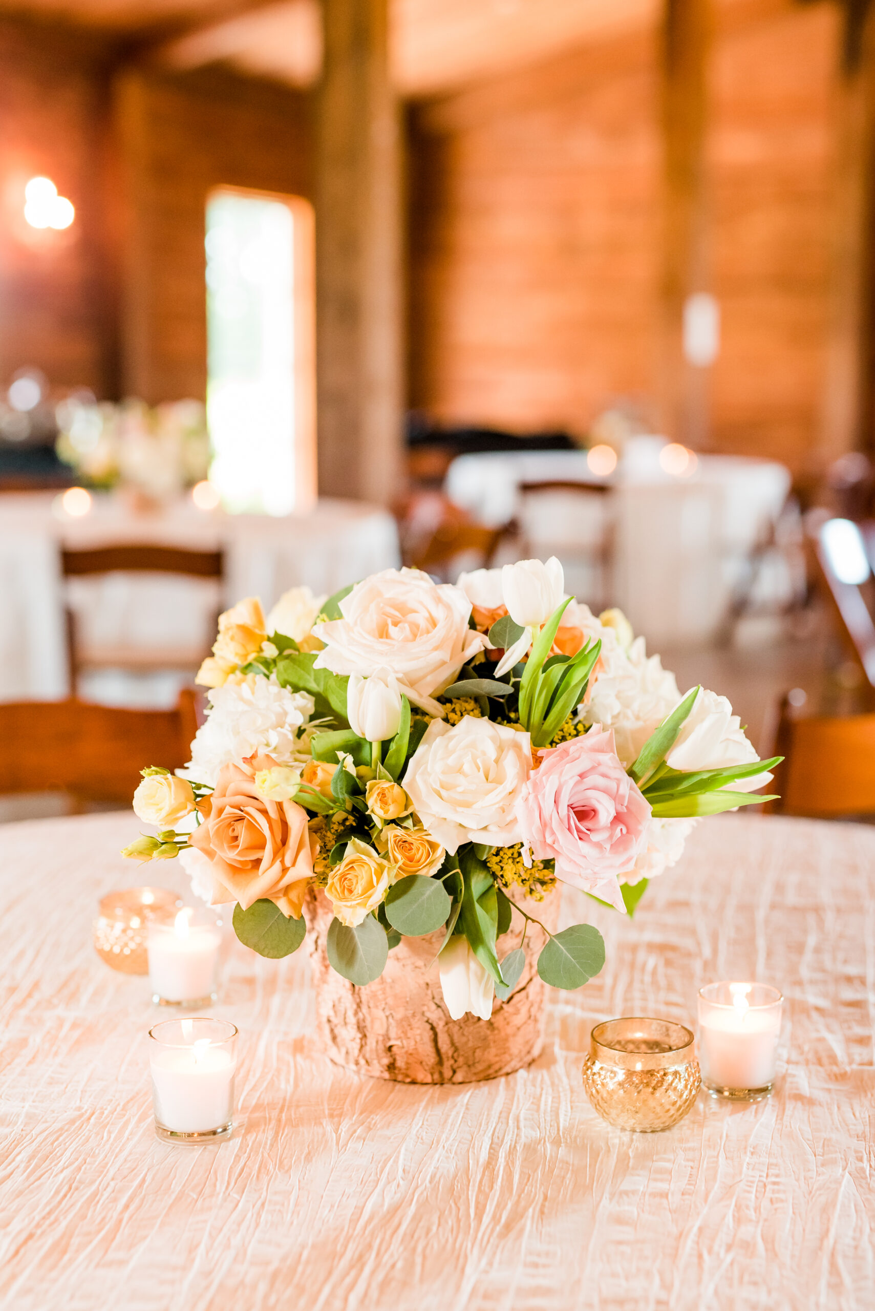 AllieConnorFINAL-355